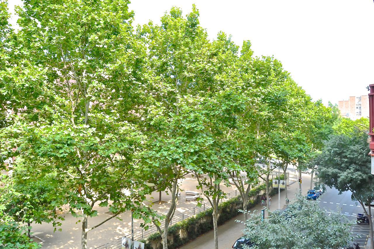 Auditori Barcelona — Photos 1